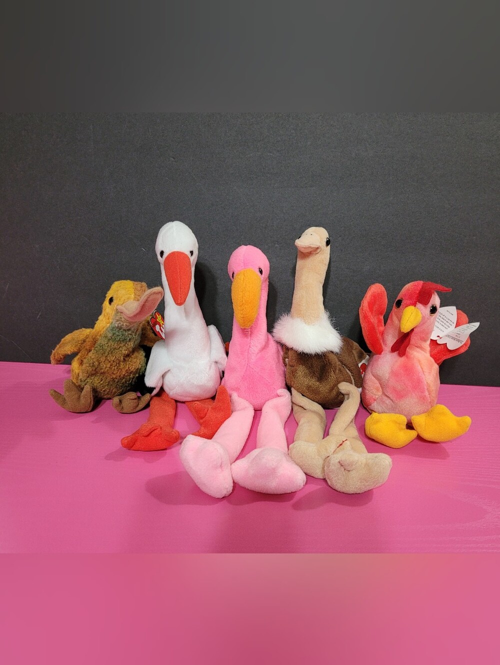 Ty Beanie Babies Birds Set Of 5 (1720)